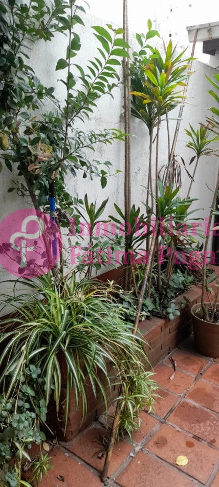 Dorrego casi Libertad- Departamento 3 ambientes con quincho, totalmente amoblado- alquiler 24meses